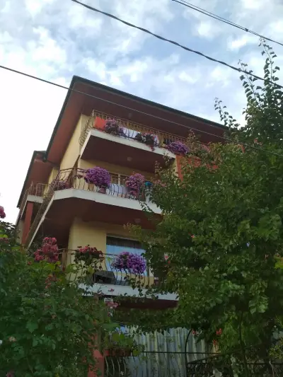 Kъща за гости Виолета 7