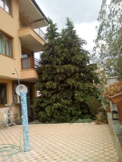 Sunny Dreams apartment complex