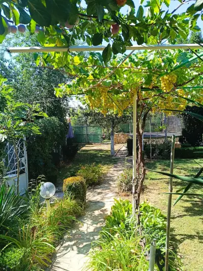 Vila Chasovnikarov