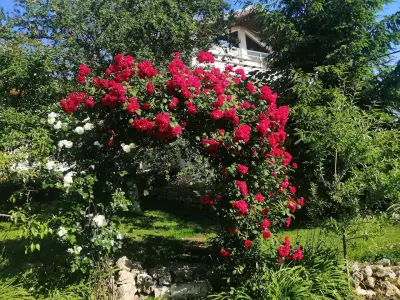 Vila Chasovnikarov