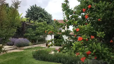 Casa Domingo