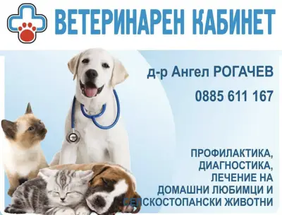 Ветеринарен Кабинет - Рогачев