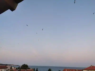 Хотел Лазур