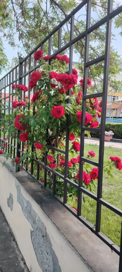 Sunny Beach Elit3 apartment - Слънчев Бряг Елит 3 апартамент
