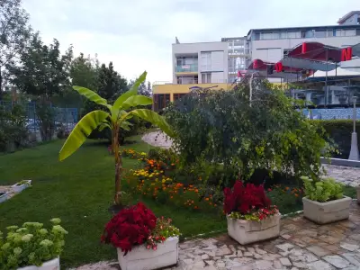 Sunny Beach Elit3 apartment - Слънчев Бряг Елит 3 апартамент