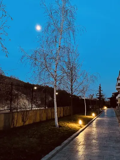 GARDEN OF EDEN Modern Apartments - APARTELLO,com