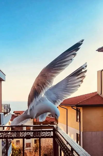 GARDEN OF EDEN Modern Apartments - APARTELLO,com