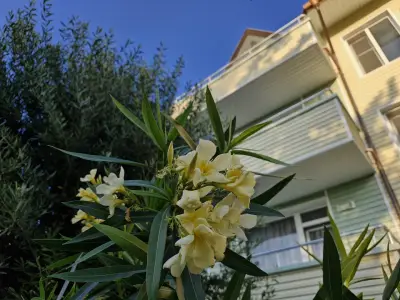 Guesthouse Sunny Dream