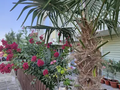 Guesthouse Sunny Dream