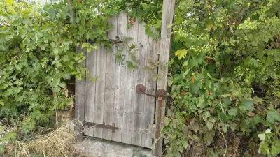 Вила Снежанка