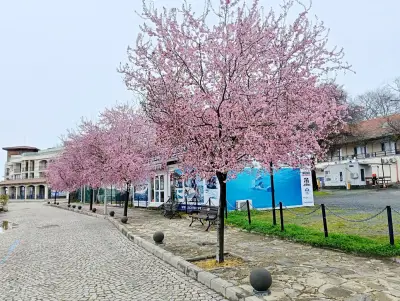 Yacht Club Marina Sozopol
