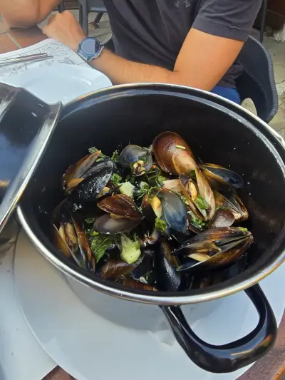 TISH RESTAURANT&GARDEN SOZOPOL