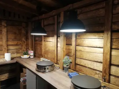 Палачони на Градина