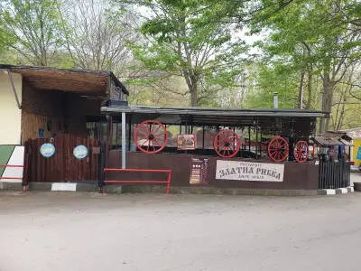 Златна Рибка