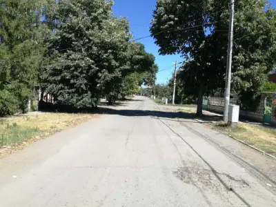аптека "Беладона 2004"