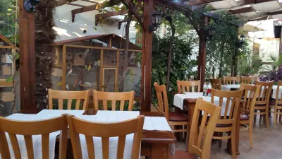 Bistro kOTVA