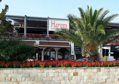 OPA Greek Restaurant Marina Dinevi