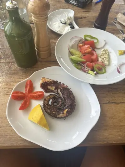 OPA Greek Restaurant Marina Dinevi