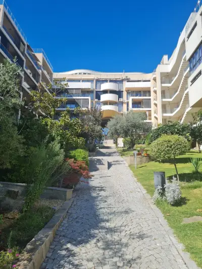 Alliance Estate Ltd.