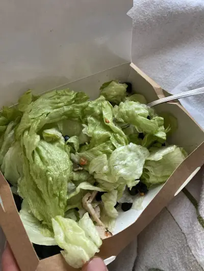 Панини Про