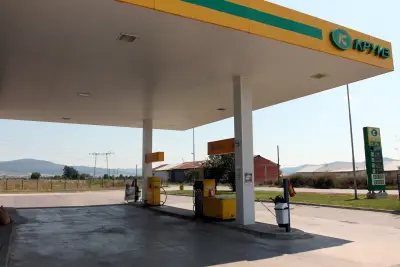 КРУИЗ Живково