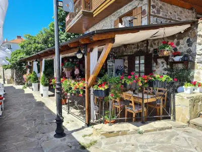 Oliva Fish &Grill