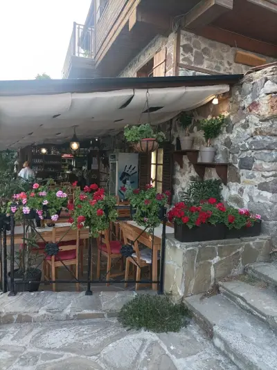 Oliva Fish &Grill