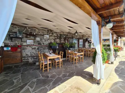 Oliva Fish &Grill