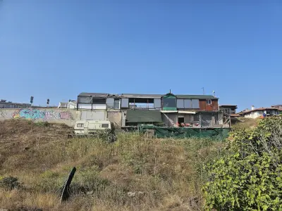 Риба, скара, пица