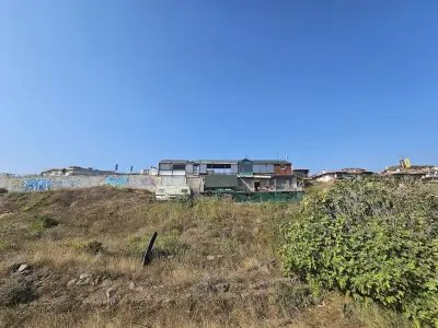 Риба, скара, пица