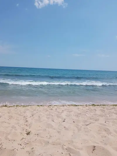 Sea mood