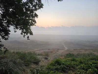 Бунгала АиБ
