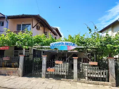 Синята акула