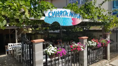 Синята акула
