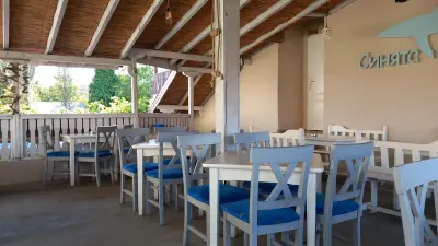 Синята акула