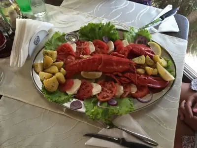 Морският вълк , " The sea wolf "