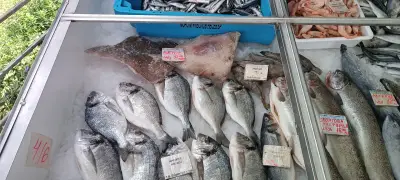 Морски риболов