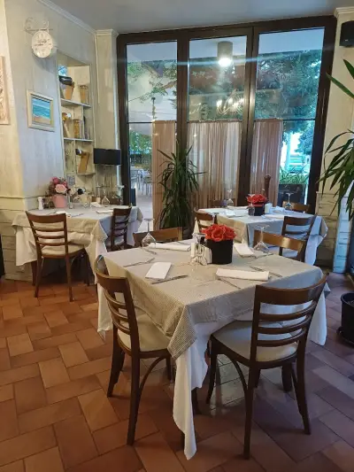 Maistro Meat & Fish