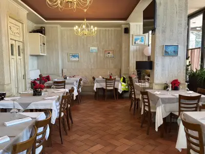 Maistro Meat & Fish