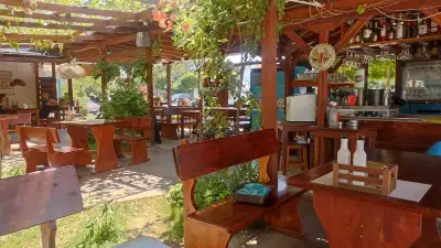 Alba Garden