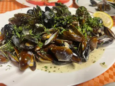 Bistro Fontana Primorsko