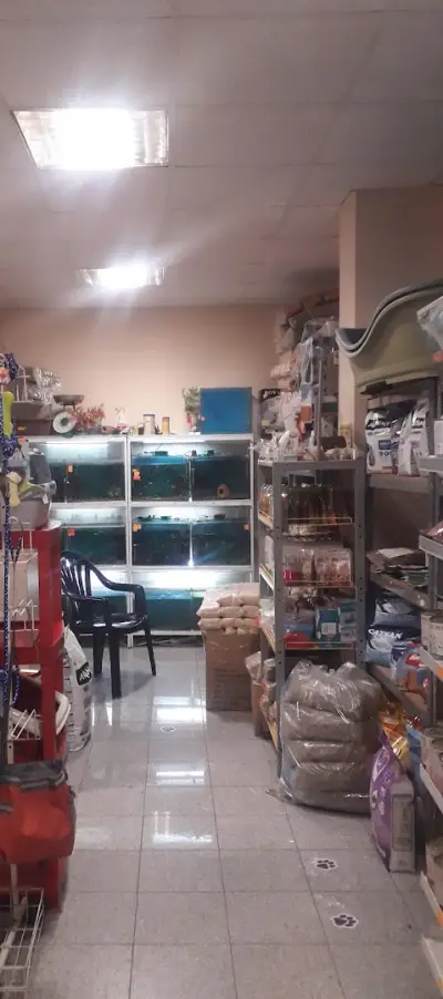 Зоомагазин Приморско