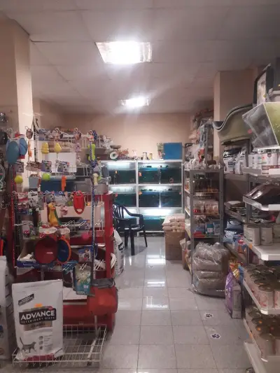 Зоомагазин Приморско