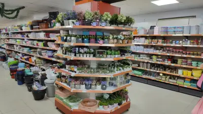 Supermarket MEGA 1