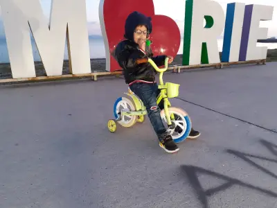 Ш'тедрия