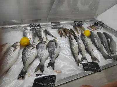 DANY FISH OBZOR