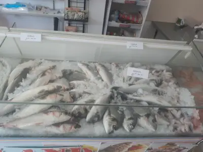 Рибен магазин Fishland-На едро и дребно