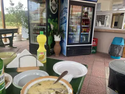 Морска звезда