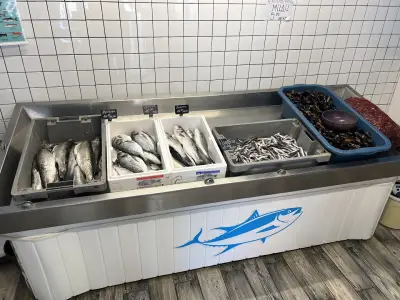 Прясна и замразена риба - ОКЕАНИДИ НЕСЕБЪР