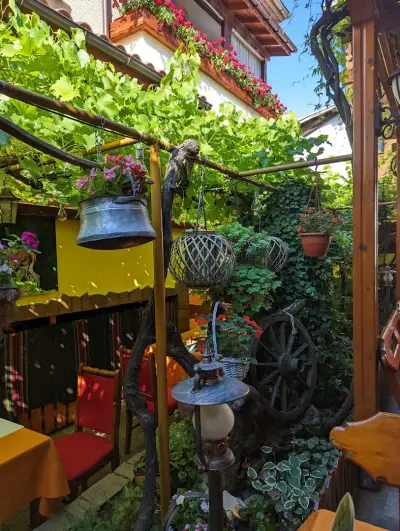 Старият елен